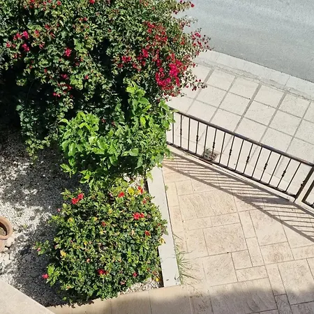 Apartment #pissouri #писсури 1+1bed *